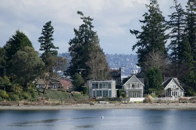 Waterfront homes among tall evergreens on a sunny shoreline
